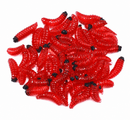 Kit Larvas Bloodworm Soft com Aroma de Peixe Alta Atratividade