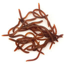 Kit Iscas Soft Minhoca Vermelha com Aroma Natural Ultra Atrativa