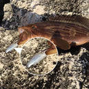 Kit 5 Iscas Soft Shad 8cm com Anzol Integrado Nado Realista